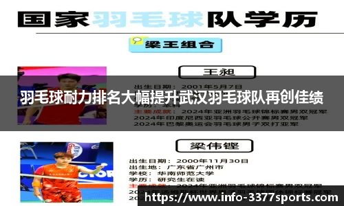3377体育