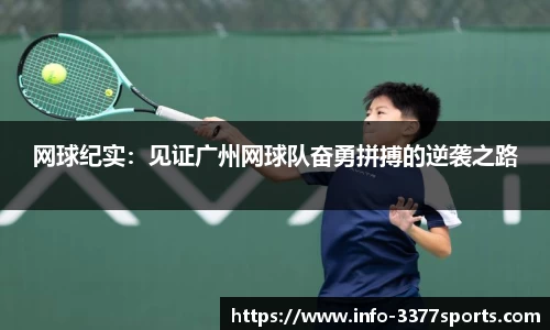 3377体育官网