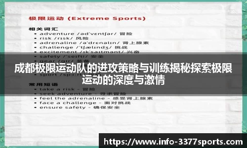 3377体育官网