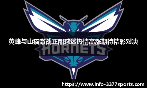 黄蜂与山猫激战正酣球迷热情高涨期待精彩对决